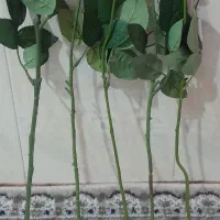 گل رز وگوشواره|گل مصنوعی|اردبیل, |دیوار