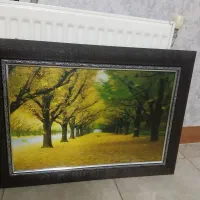 تابلو|تابلو، نقاشی، عکس|مشهد, دریادل|دیوار