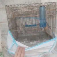 قفس سهره وقناری