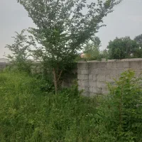 فروش فوری زمین ۳۰۵ متری
