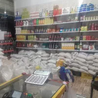 پخش برنج علیرضا