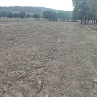 فروش زمین کشاورزی|فروش زمین و ملک کلنگی|ویسیان, |دیوار