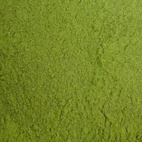 آویشن کوهی تازه