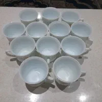 فنجون آرکوپال