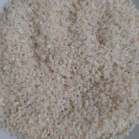 برنج هاشمی