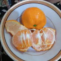 نارنگی شهر شیراز ۰۰۰