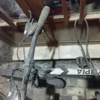 دوچرخه ۲۶ المیپا|دوچرخه، اسکیت، اسکوتر|کرمان, |دیوار