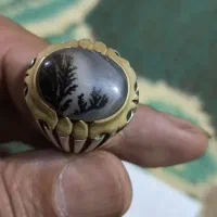 انگشتر شجر اصلی|جواهرات|تاکستان, |دیوار