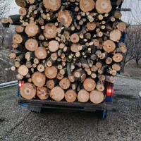 خرید نقدی چوب