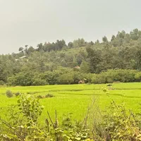 خونه ویلایی 500متری/ویودار/شفت|فروش خانه و ویلا|احمدسرگوراب, |دیوار