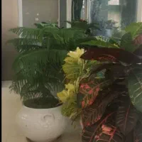 دعوت به همکاری در کلینیک ترک اعتیاد