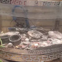 آکواریوم عرض ۵۰