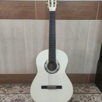 گیتار به همراه کیف و پیک