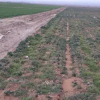 فروش زمین نزدیک به آزادراه شهرستان بیضا