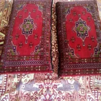 پشتی دست بافت|پشتی|شیراز, کوی زهرا|دیوار