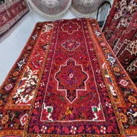 کناره اصیل اعلا|فرش|مراغه, |دیوار