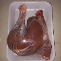 گوشت تازه کشتار روز بوقلمون