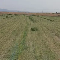 سبیس یونجه|عمده‌فروشی|مشهد, مهدی آباد|دیوار
