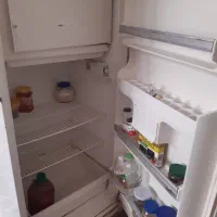 یخچال بوژان