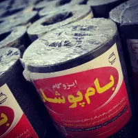 ایزوگام