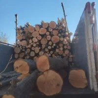 چوب بری