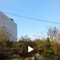 فروش نقد زمین به خود خریدار ساکن تهران بدون واسطه|فروش زمین و ملک کلنگی|سلمان‌شهر, |دیوار