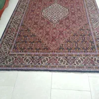 فرش دستباف زنجان|فرش|زنجان, |دیوار