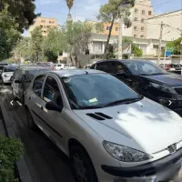 پژو ۲۰۶ مدل ۱۳۹۸ تیپ۲ دولکه رنگ