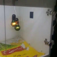 دستگاه مادر مصنوعی طوطی کاسکو راهب گرینچیک|لوازم جانبی حیوانات|اصفهان, گلستان|دیوار