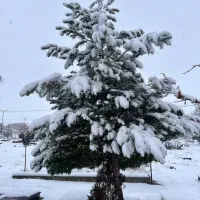 پیش خرید از سازندگان معتبر