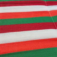 حصیر۲در۲|روفرشی|نیشابور, گنبد سبز|دیوار