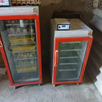 دستگاه جوجه کشی هما