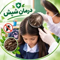 درمان شپش فوری تاییدبهداشت مدرسه