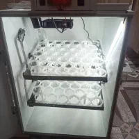 دستگاه جوجه کشی تمام اتوماتیک 84تایی