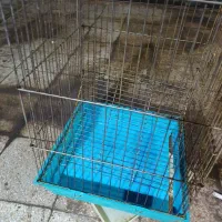 قفس قناری و طوطی جا ابی جا دونی