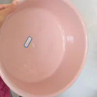 پلاسکوفروشی|ظروف نگهدارنده، پلاستیکی، یک‌بارمصرف|سرعین, |دیوار