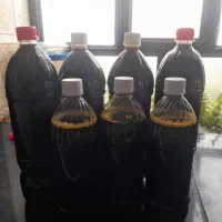 شیره انگور سی سخت