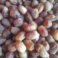 قصب گوشتی وتازه امسال|خوردنی و آشامیدنی|افزر, |دیوار