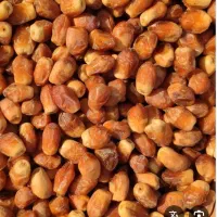 فروش کرنگ قصب