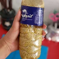 خاویار حلزون