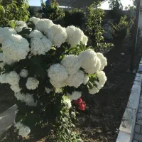 استخدام آبدارچی و نگهبان شب .حقوق ۱۵ میلیون