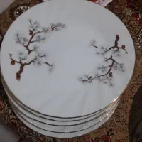 میوه خوری چینی|میز و صندلی غذاخوری|قم, باغ اشرافی|دیوار