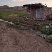 ۲هکتارزمین کشاورزی در روستای مهرآباد