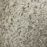 برنج هاشمی درجه یک محصول امسال