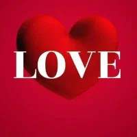 لب تاب hp مارک