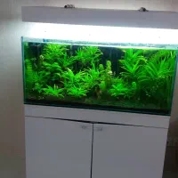 اکواریوم سبک ADA. فقط تانک تنها