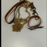 یک قلاده نجاب
