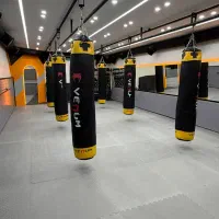 همکاری با مربی ورزشی