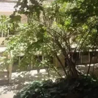 خانه ویلایی کریمی