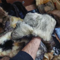 کلاه جنس گرگی|لباس|تهران, جوادیه تهرانپارس|دیوار